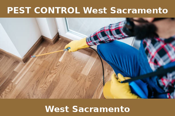 PEST CONTROL West Sacramento
